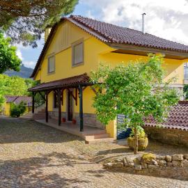 Zen Vouga