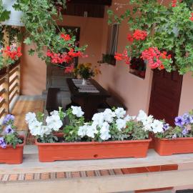 Casa Andreia