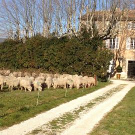 B&B Domaine Le Clos du Pavillon "Authenticité et Ressourcement garantis"