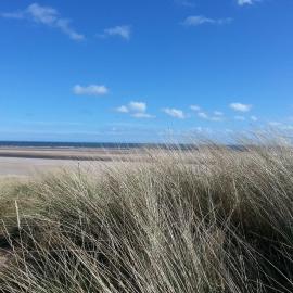 Estuary View Caravans