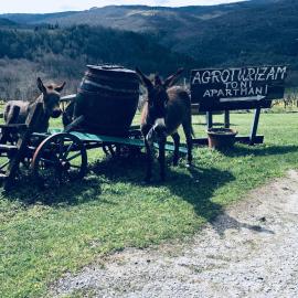 Agroturizam Toni, Hotel in Motovun