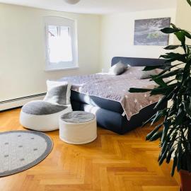Pension Holzgarten, hotel in Regensburg