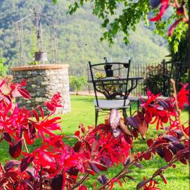 Green House, hotel em Pieve di Teco