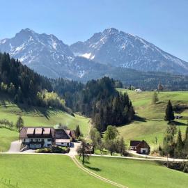 Ferienhof Hintergrabenbauer, hotel in Spital am Pyhrn