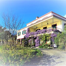 Quinta do Cabouco, hotel a Ribeira Brava