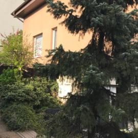 Secret Garden by Arder, hotel i Gdynia