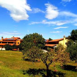 Agriturismo Radovic, hôtel à Aurisina