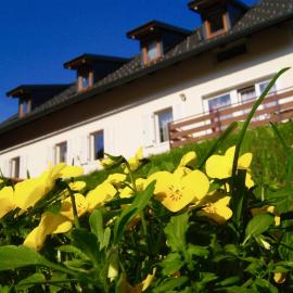 Apartmaji Pri Kokolu, hotel a Bled