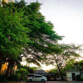 Baan Boonanan Apartment, отель в городе Ban Talat Rangsit