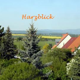 Ferienhaus "Harzblick"
