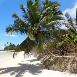 HCS Bungalows Turtle Bay Rustic Bungalow, hotel v destinácii Au Cap