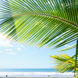 Hotel Playa Cambutal: Cambutal'da bir otel