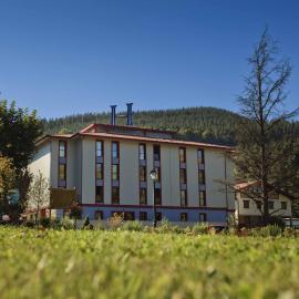 Hotel Balneario Areatza Nº 01224, hotel en Areatza
