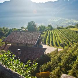 Agriturismo Ruc del Lac، فندق في بْواريو تيرمي