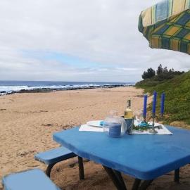 Milkwood Beach Cottages, hotel in Shelly Beach