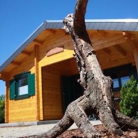 mySeenland, hotel a Senftenberg