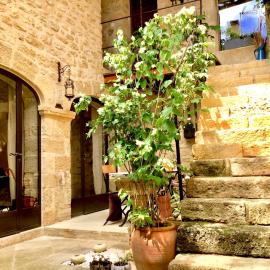 Un Patio en Luberon