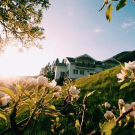Gjerdset Turistsenter, hotel v mestu Isfjorden