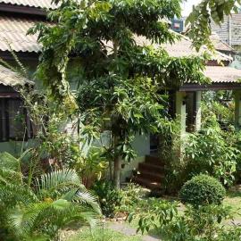 Buathong Place, hotel in Lamai