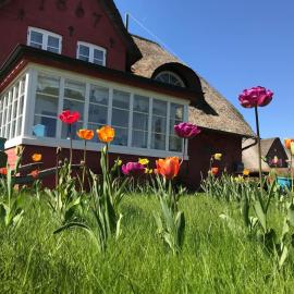 Hüs Sanskiin Ferienwohnung *Driiwholt*, hotel Süddorf városában