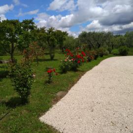 Casa Vacanze Le Rose, hotel di Ariccia
