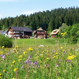 Landhaus Anja، فندق في فرودنستاد