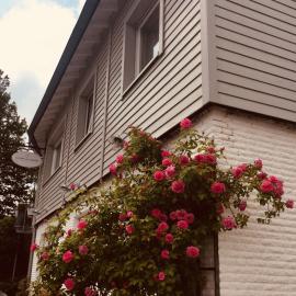 Landhaus Thome, hotel sa Nideggen