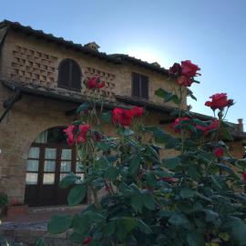 La Casina Sonia
