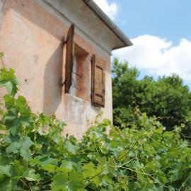 Alla vigna, hotel in Bassano del Grappa