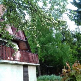 Holiday house Nature