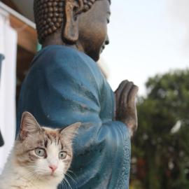 Buddha Bleu, hotel v destinácii Sainte-Luce