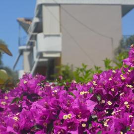 Eleonas Apartments, hotel en Riza