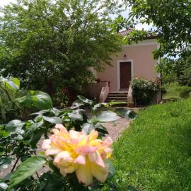 L'Antico Gelso, hotel in Viggiano