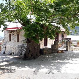 Traditional House Koukounara