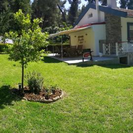 Nirvana house