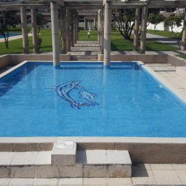 Sao Felix Paradise Beach Piscine Porto