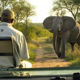 Lukimbi Safari Lodge, hotel di Malelane