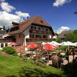 Hotel Cortina, hotel in Höchenschwand