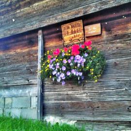 Rettlhof, hotel in Sankt Peter am Kammersberg