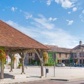 Logis Le Tadorne, hotel u gradu 'Piney'