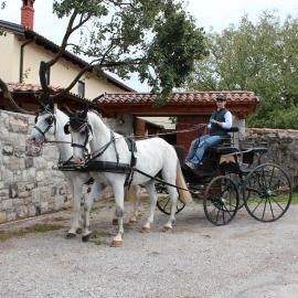 Country House Lokev, hotel in Lokev
