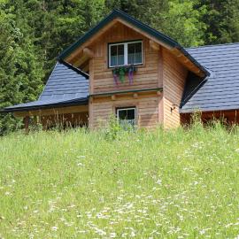 Forstauer's Teichalm, hotel in Gams bei Hieflau