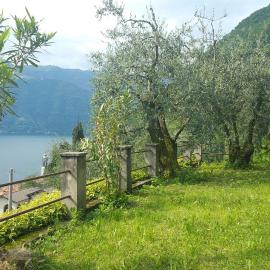 Gli Ulivi di Nesso, готель у місті Нессо
