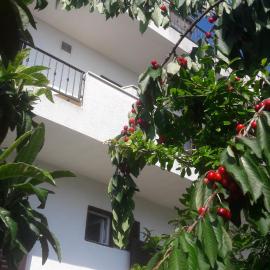 Apartments Lans