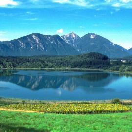 Ferienwohnungen Eckwirt Region: Klopeinersee-Turnersee