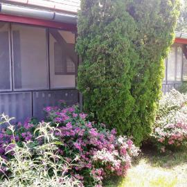 Tiszai Vándor Apartmanház, hotel a Kisköre