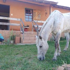 Sítiio São Miguel projeto agroecológico, hotel i Caconde