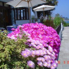 Hotel Los Laureles, hotel em Luanco