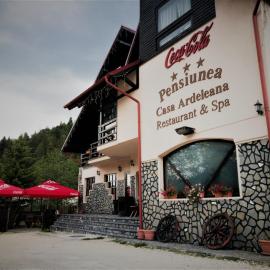 Casa Ardeleana, hotel v destinaci Predeal