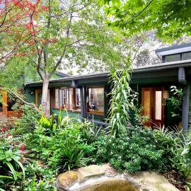 The Black Cockatoo - Secret Garden Treetops Home، فندق في كاتومبا